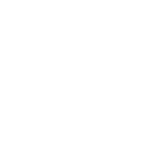 Coconut palm 1